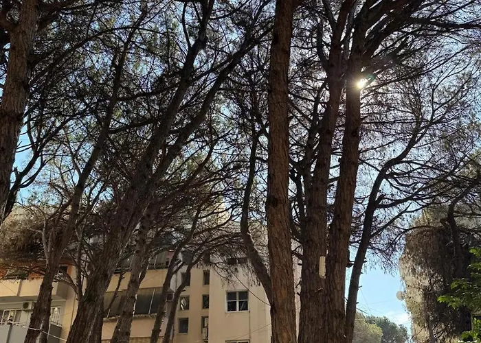 Seaside Royal Golem (Tirana)